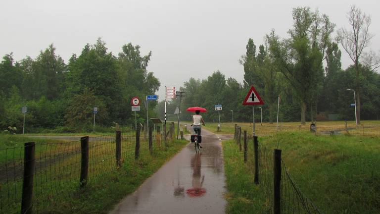 Paraplu omhoog! (Foto: Margreet van Vianen)