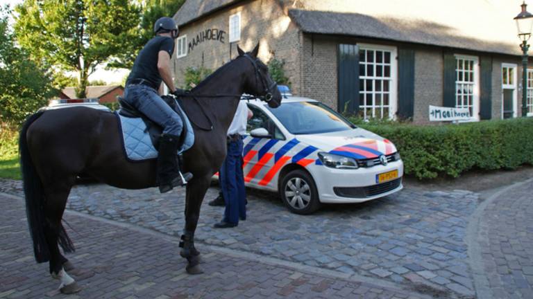 Zoeken met paarden (foto: Foto Martijn van Bijnen / FPMB)