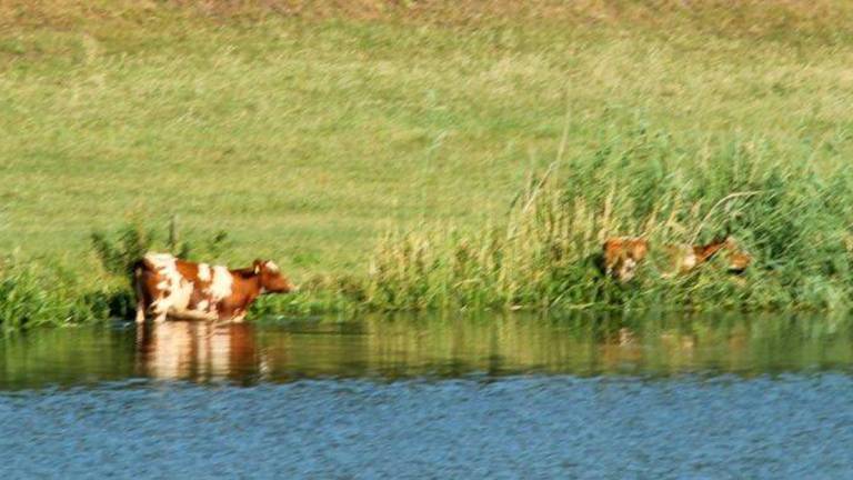 Omroep Brabant