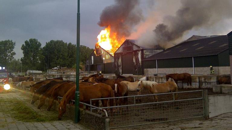 Omroep Brabant