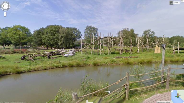 Aapjes kijken op Google Street View