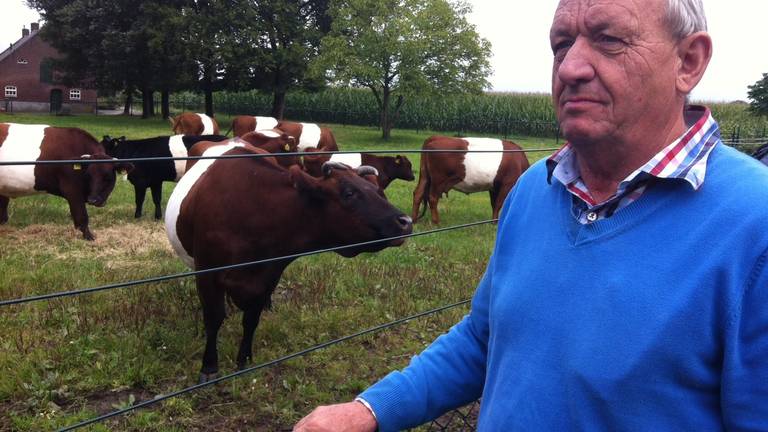 Huub Vermeer heeft 20 Lakenvelders; enkele moeten in januari naar de slacht.