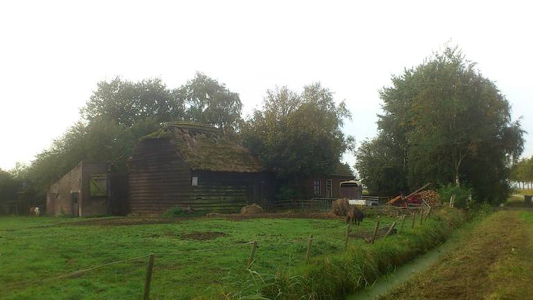 Omroep Brabant
