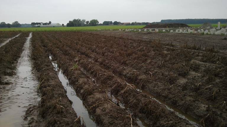 Een deel van de waterschade wordt vergoed. (Archieffoto)