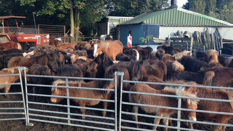 Omroep Brabant