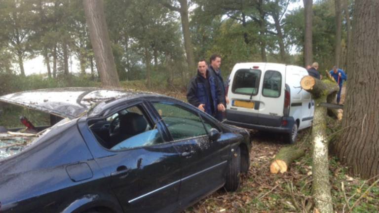 Omroep Brabant