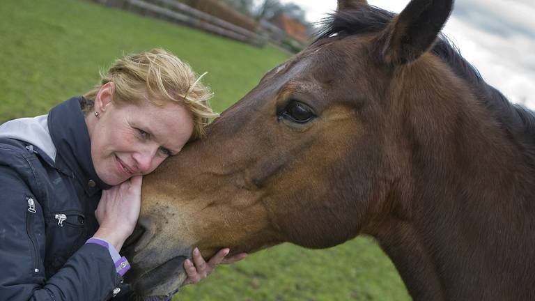 Omroep Brabant