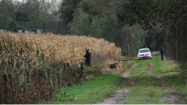 De politie zoekt met een speurhond. (Foto: Harrie Grijseels/SQ Vision)