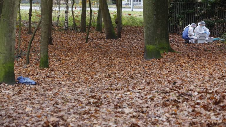 Prehistorisch Schurk artikel Mysterieuze zaak: kleding met bloed gevonden in bos Eindhoven, politie zet  gebied af - Omroep Brabant