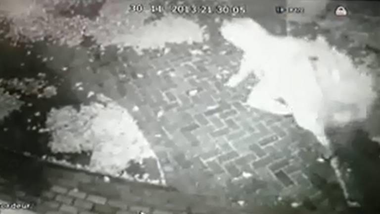 Man rukt kerstboom los (bron: Kelsey van Eersel / Facebook)