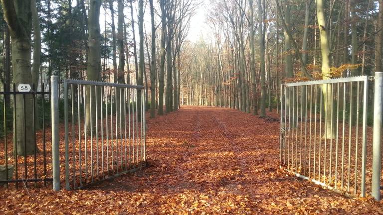 Omroep Brabant