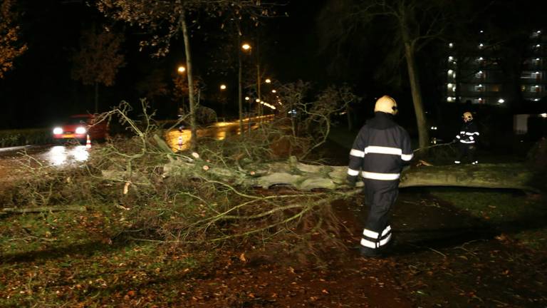 Omroep Brabant