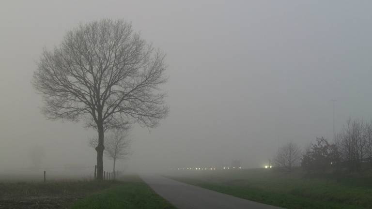 Mist in de omgeving van Tilburg (Foto: Magreet van Vianen)