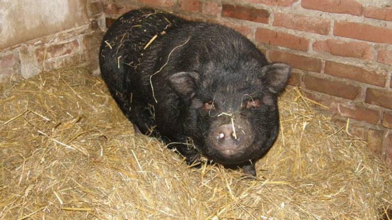 Omroep Brabant