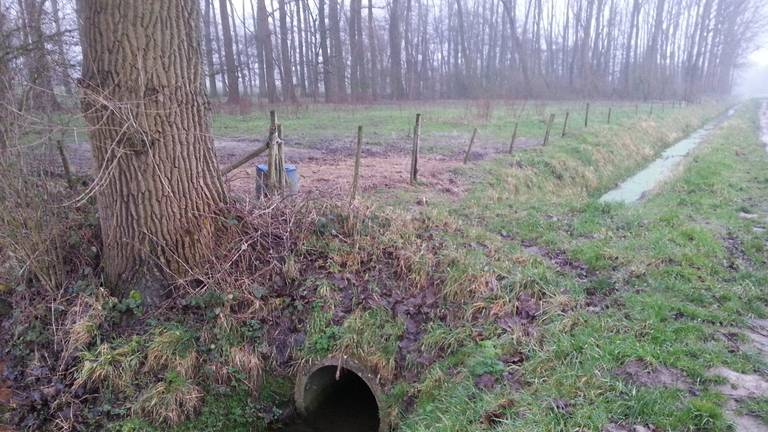 Omroep Brabant