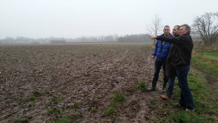 Omroep Brabant