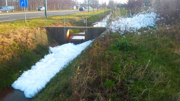Schuimkraag in Udense sloot (Foto: Waterschap Aa en Maas)