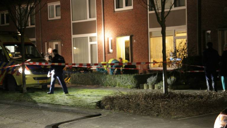 Foto: Harrie Grijseels, SQ Vision