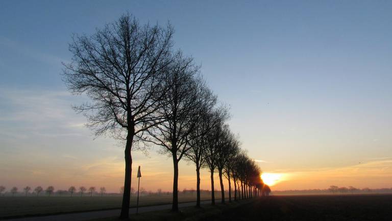 Omroep Brabant