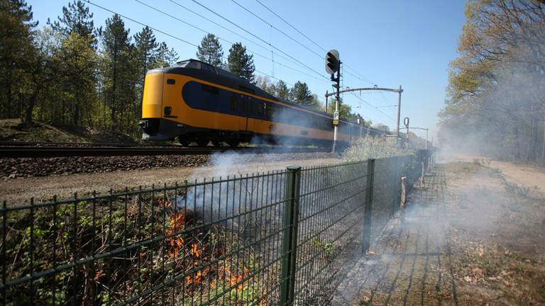 Bermbranden langs het spoor tussen Breda en Gilze-Rijen. (foto: Jeroen Stuve/Stuve Fotografie)