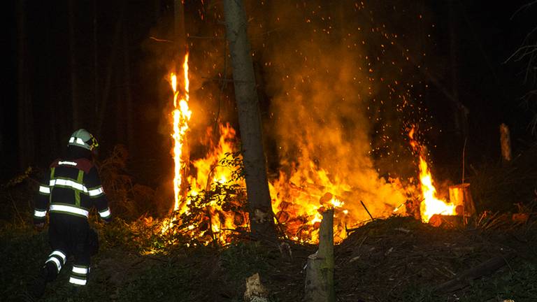 Bosbrand in Olland snel geblust (foto: Sander van Gils/SQ Vision)
