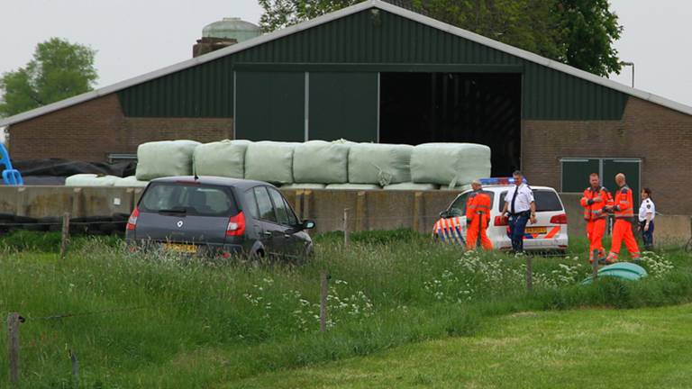 Foto: Charles Mallo/SQV