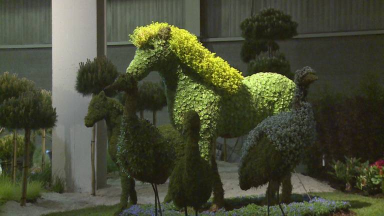 Mooi: Paard uitgevoerd in vetplanten