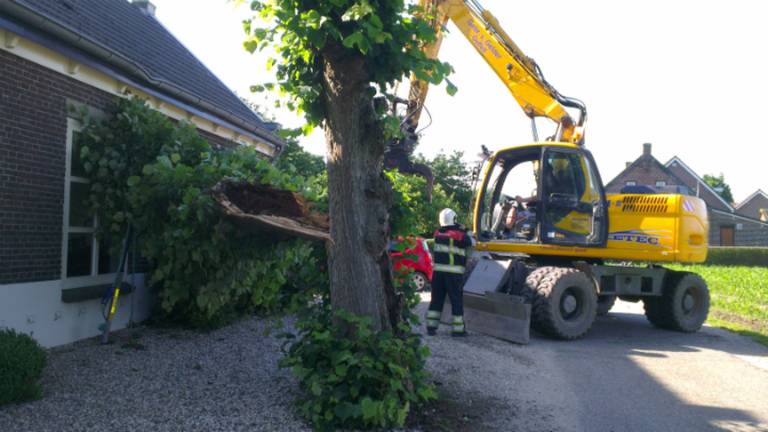 De oorzaak van het vallen van een deel van de boom is nog onduidelijk. (foto: Saskia Kusters/SK-Media)