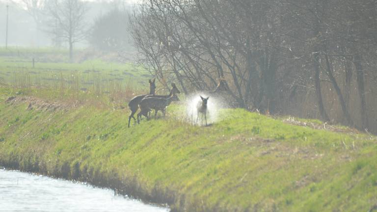 Omroep Brabant