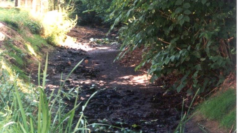 Een drooggevallen sloot (foto: Waterschap Aa en Maas)