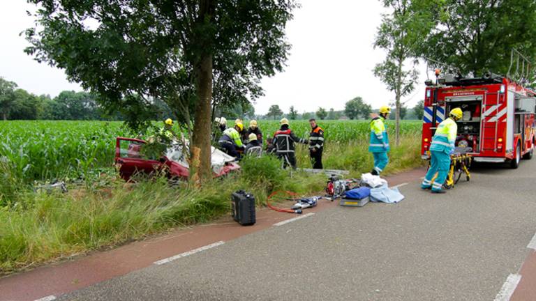 Auto tegen boom (foto: Harrie Grijseels / SQ Vision)