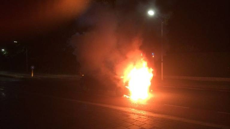 Foto: Martien van Dam (SQ Vision)