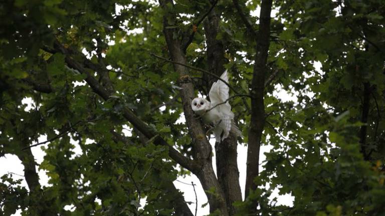 Foto: Christian Traets/SQ Vision