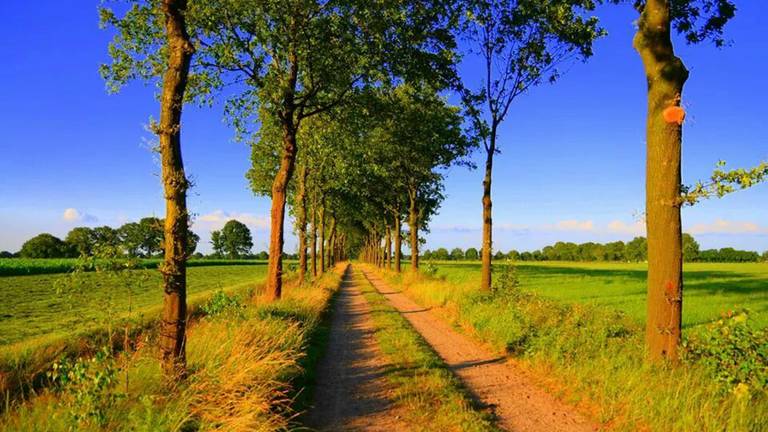 Omroep Brabant