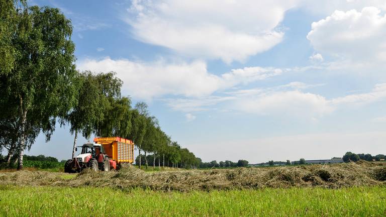 Omroep Brabant