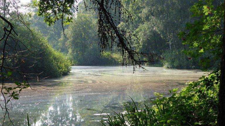 Omroep Brabant