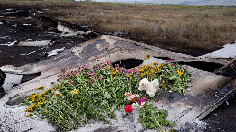 De resten van het vliegtuig in Oekraïne (foto: ANP)