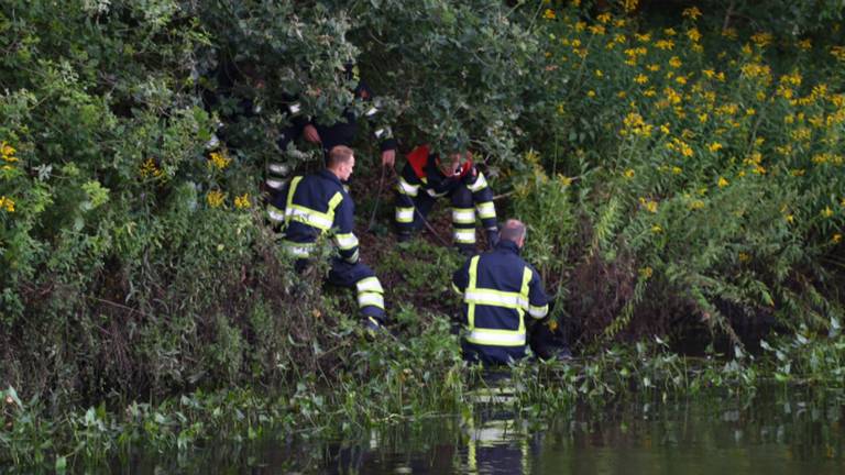 Medewerkers hielpen de hond uit het water (foto: Sander van Gils/SQ Vision)