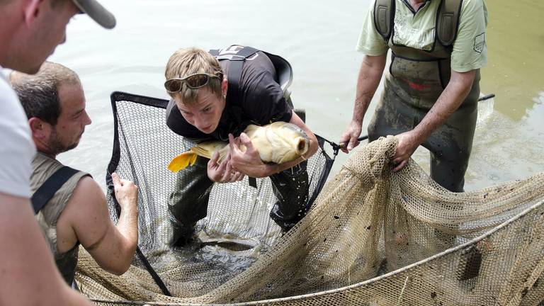 Vrijwilligers proberen vieze vijver leeg te vissen in Tilburg