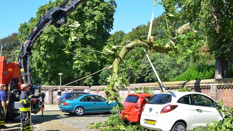 Afgebroken tak zorgt voor ravage in Gardiaanhof Tilburg