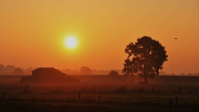 Omroep Brabant