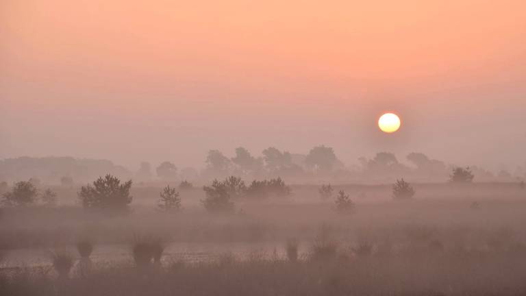 Omroep Brabant