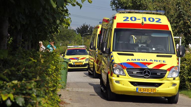 Foto: Marcel Van Dorst/SQ Vision