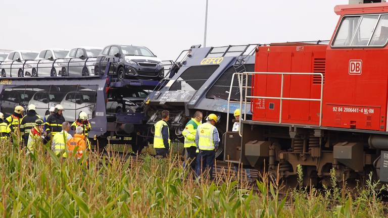 Foto: Marcel van Dorst/SQ Vision