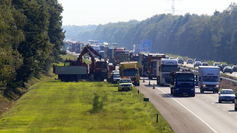 Foto: Hans van Hamersveld (SQ Vision)