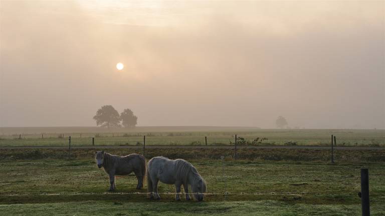 Omroep Brabant