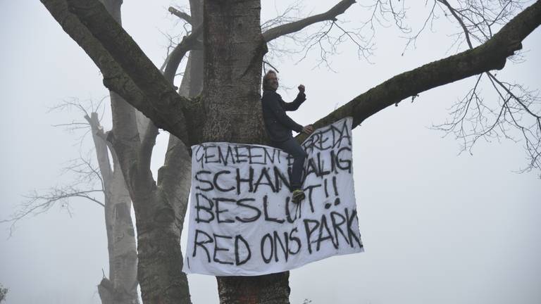 Actievoerder in boom Zaartpark Breda. (foto Perry Roovers/SQ Vision)