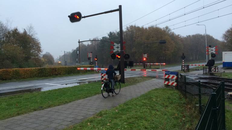 (foto: Jeroen Stuve/Stuve Fotografie)