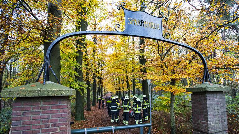 Het bos waar het lichaam van Rachid Dardari werd gevonden (Foto: Sander van Gils / SQ Vision)