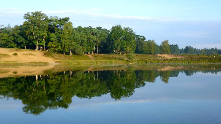 Boswachterij Dorst.